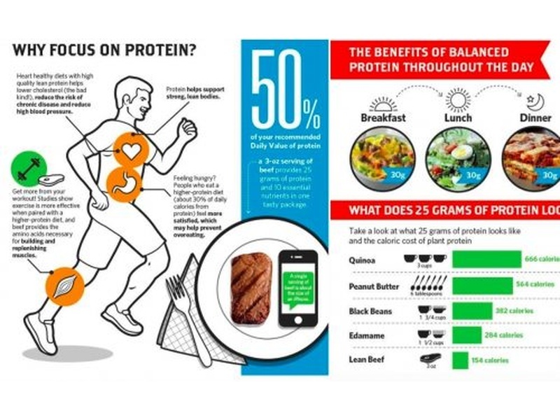 protein basics